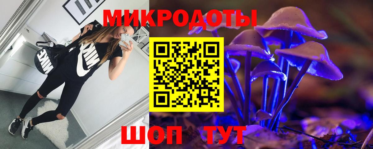 Псилоцибиновые грибы Psilocybine cubensis Ликино-Дулёво